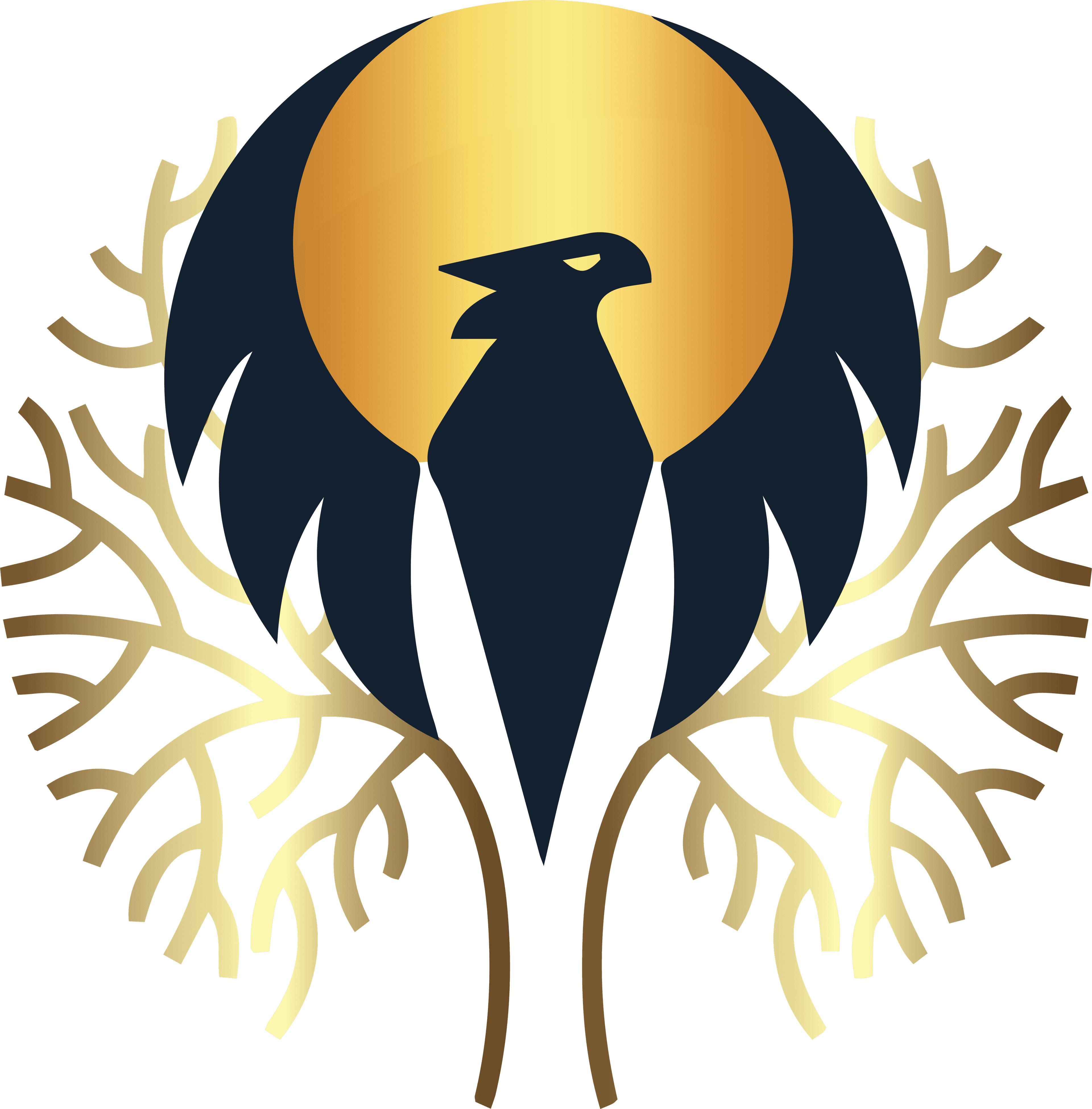 Telugu Airlines